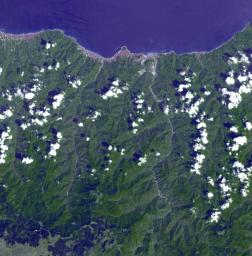 NASA's Terra spacecraft shows the Eastern Black Sea region on the slopes of the Pontic mountain range, in Turkey.