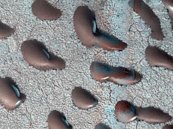 Surrounded by frost, these Martian dunes in Mars' northern hemisphere were captured from above by NASA's Mars Reconnaissance Orbiter using its HiRISE camera on Sept. 8, 2022.