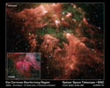 Eta Carinae Starforming Region