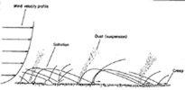 figure 1 for PIA05452