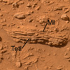 figure 1 for PIA07020