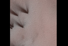 Click here for figure 1 of PIA10146 Dry Ice Etches Terrain