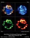Click here for 4-panel version of PIA10206 Cosmic Ornament of Gas and Dust