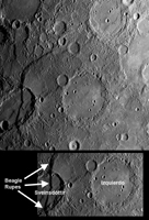 Click here for larger version of figure 1 for PIA11959