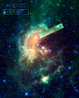 Click here for larger version of figure 1 for PIA13110