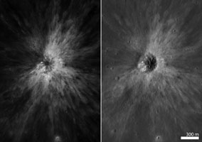 Click here for larger version of figure 1 for PIA13157