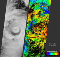 Click here for larger version of figure 1 for PIA13242