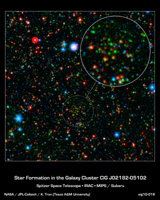 Click here for larger version of figure 1 for PIA13335