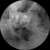 click here for larger view of figure 3 for PIA19657
