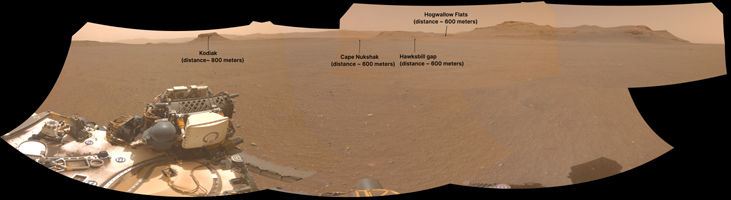 click here for Figure 1 for PIA25406