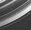 This image captured by NASA's Voyager 2 in 1986 revealed a continuous distribution of small particles throughout the Uranus ring system. This unique geometry, the highest phase angle at which Voyager imaged the rings, allowed us to see lanes of fine dust.