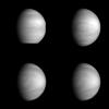 This series of pictures shows four views of the planet Venus obtained by NASA's Galileo's Solid State Imaging System at ranges of 1.4 to 2 million miles as the spacecraft receded from Venus.