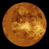 The northern hemisphere is displayed in this global view of the surface of Venus as seen by NASA's Magellan spacecraft. 