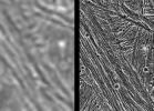 These images demonstrate the dramatic improvement in the resolution of pictures that NASA's Galileo spacecraft returned compared to previous images of the Jupiter system.