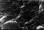 This electron microscope image shows tubular structures of likely Martian origin. These structures are very similar in size and shape to extremely tiny microfossils found in some Earth rocks.