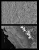 These images compare Jupiter's icy moon, Europa, to the same location on earth, the San Francisco Bay are of California, from NASA's Galileo spacecraft.