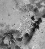 Rare tear-shaped dark dunes in this 6.4 x 7.0 km image (frame 10004) centered near 47 degrees south, 341 degrees west, taken by NASA's Mars Global Surveyor Orbiter.