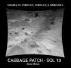 NASA's Sojourner rover image of the 'Cabbage Patch' shows small rounded objects on the surface that are about 3-4 cm across. Sol 1 began on July 4, 1997.