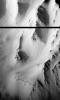 NASA's Mars Global Surveyor captured this image of a type of bedrock layering had never been seen before in Valles Marineris, Mars.