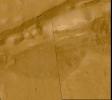 This mosaic from NASA's Mars Global Surveyor shows about 20 different gullies coming down the south-facing wall of a trough in the Sirenum Fossae/Gorgonum Chaos region of the martian southern hemisphere.