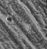 NASA's Galileo spacecraft obtained this image on September 6, 1996 showing ridges on the edge of Ganymede's north polar cap.