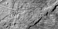 This high resolution view captured by NASA's Galileo spacecraft shows the Conamara Chaos region on Jupiter's icy moon, Europa. This image reveals craters which range in size from about 30 meters to over 450 meters in diameter.