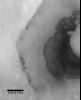 This image from NASA's Mars Global Surveyor was acquired during the Mar's southern spring season on December 29, 1997. A crater wall shows channeling suggestive of fluid seepage.