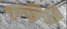 Agenor Linea is an unusually bright, white band on Jupiter's icy moon Europa. This mosaic from NASA's Galileo spacecraft uses color images to 'paint' high resolution images of Agenor, and then places the colorized images within lower resolution images.