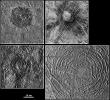 The picture compares four large impact structures on Jupiter's icy moon, Europa. Clockwise, from top left, are Pwyll, Cilix, Tyre, and Mannann'an. All images were taken by the Solid State Imaging (SSI) system on NASA's Galileo spacecraft.