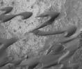 This dramatic image was NASA's Mars Global Surveyor captured during March 1999 shows a field of dark sand dunes in the Nili Patera region of Syrtis Major on Mars. The shapes of these dunes indicate that wind has been steadily transporting the dark sand.