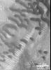 NASA's Mars Global Surveyor shows dark and somewhat crescent-shaped dunes on Mars.