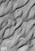 NASA's Mars Global Surveyor shows cemented dunes found in the Herschel Basin of Terra Cimmeria on Mars. 
