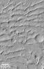 NASA's Mars Global Surveyor shows a field of parallel ridges north of a dune field in a wind-eroded material named the Apollinaris Sulci on Mars.
