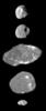 A montage of images of the small inner moons of Jupiter from the camera onboard NASA's Galileo spacecraft shows the best views obtained of these moons during Galileo's 11th orbit around the giant planet in November 1997.