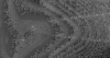 This brief movie clip (of which the release image is a still frame), taken by NASA's Cassini spacecraft as it approached Jupiter, shows the motions, over a 16 hour-period, of two satellites embedded in Jupiter's ring. 