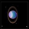 A recent NASA Hubble Space Telescope view reveals Uranus surrounded by its four major rings and by 10 of its 17 known satellites. 