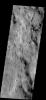 These dust devil tracks are located in the region surrounding Hooke Crater on Mars as seen by NASA's 2001 Mars Odyssey spacecraft.
