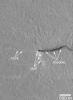 NASA's Mars Global Surveyor shows dust devils, spinning, columnar vortices of wind that move across the landscape, pick up dust, and look somewhat like miniature tornadoes in Amazonis Planitia on Mars.