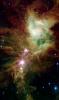 Newborn stars, hidden behind thick dust, are revealed in this image of a section of the Christmas Tree cluster from NASA's Spitzer Space Telescope, a joint effort between Spitzer's infrared array camera and multiband imaging photometer instrument.