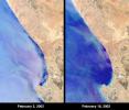 At Elands Bay in South Africa's Western Cape province, about 1000 tons of rock lobsters beached themselves during February 2002 when NASA's Terra satellite acquired these images.