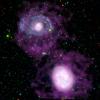 This image shows two companion galaxies, NGC 4625 (top) and NGC 4618 (bottom), and their surrounding cocoons of cool hydrogen gas (purple). The huge set of spiral arms on NGC 4625 (blue) was discovered by the ultraviolet eyes of NASA's GALEX.