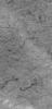 NASA's Mars Global Surveyor shows dark squiggles and streaks created by passing spring and summer dust devils near Pallacopas Vallis in the martian southern hemisphere.