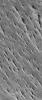 This image from NASA's Mars Global Surveyor shows a group of tapered ridges, known as yardangs, which formed by wind erosion of a relatively easily-eroded material, most likely sedimentary rock or volcanic ash deposits.