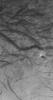 NASA's Mars Global Surveyor shows a dust devil and a plethora of streaks created by previous dust devils, on the eastern floor of Mendel Crater on Mars.