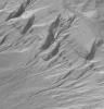 NASA's Mars Global Surveyor shows Newton Crater on Mars and its surrounding terrain exhibiting many examples of gullies on the walls of craters and troughs.