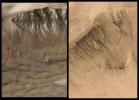 NASA's Mars Global Surveyor shows gullies on the walls of two different meteor impact craters that occur in Newton Basin in Sirenum Terra, Mars, exhibiting patches of wintertime frost on the crater wall, and dark-toned sand dunes on the floor.