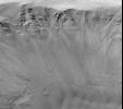NASA's Mars Global Surveyor shows gullies that occur on the layered north wall of a crater in Newton Basin on Mars. Dark sand dunes are visible.