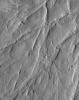 NASA's Mars Global Surveyor shows a complex of overlapping, inverted channels in a fan exposed by erosion, then mantled by dust, in the Aeolis region of Mars.