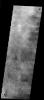 This image from NASA's Mars Odyssey spacecraft shows part of the summit calera of Arsia Mons. There are numerous small volcanic constructs with lava flows in the image.