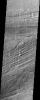 The scoured grooves in the catastrophic outflow channels shown in this image from NASA's Mars Odyssey spacecraft formed hundreds of million of years ago and have the appearance of wood grain. They now host dune-like ripples of windblown material.